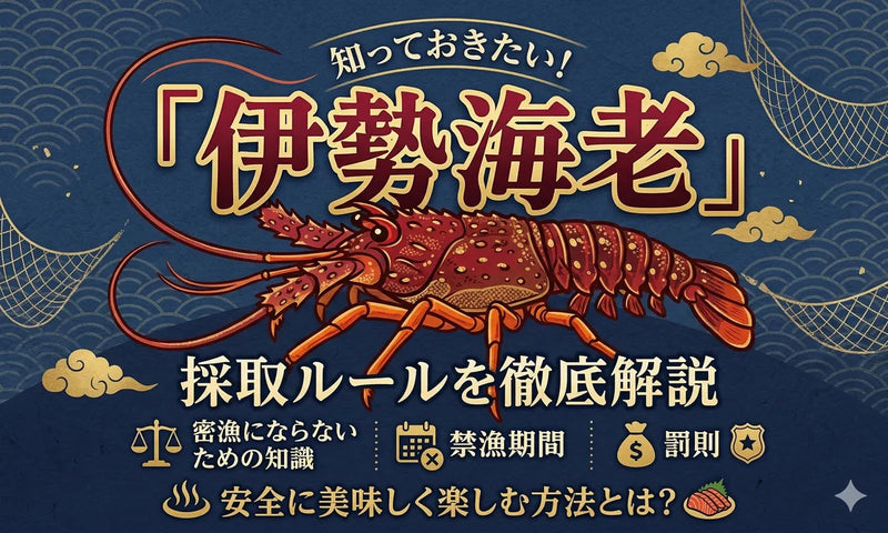 伊勢海老の採取ルールを徹底解説|密漁にならないための知識と禁漁期間・罰則。安全に美味しく楽しむ方法とは?