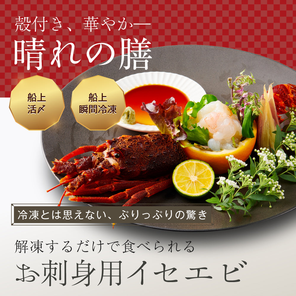 【刺身用に船上で瞬間冷凍】<br>お刺身用伊勢海老(イセエビ)<br>2尾分