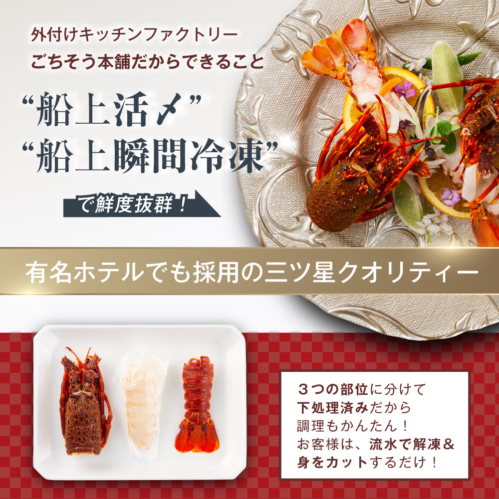 【刺身用に船上で瞬間冷凍】<br>お刺身用伊勢海老(イセエビ)<br>2尾分