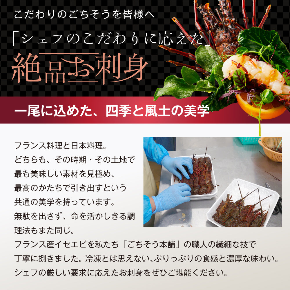 【刺身用に船上で瞬間冷凍】<br>お刺身用伊勢海老(イセエビ)<br>2尾分