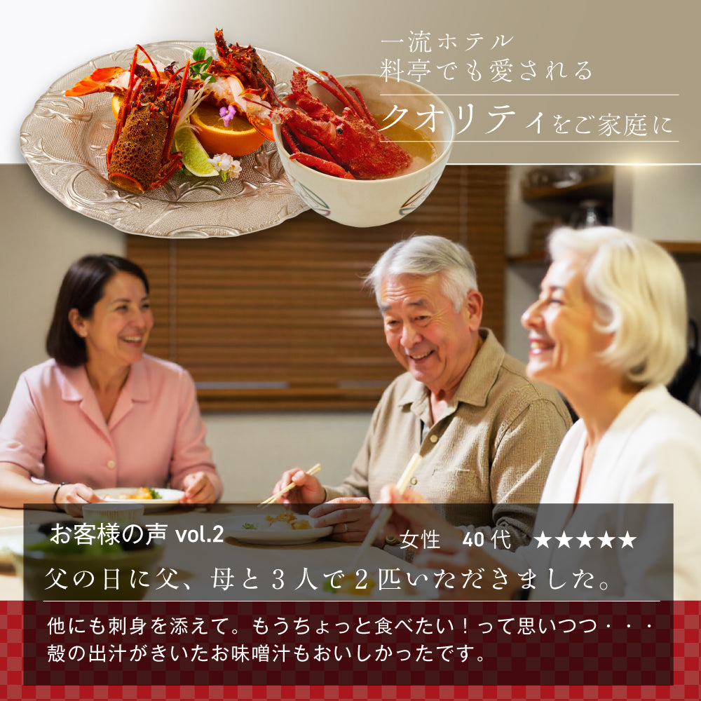 【刺身用に船上で瞬間冷凍】<br>お刺身用伊勢海老(イセエビ)<br>2尾分