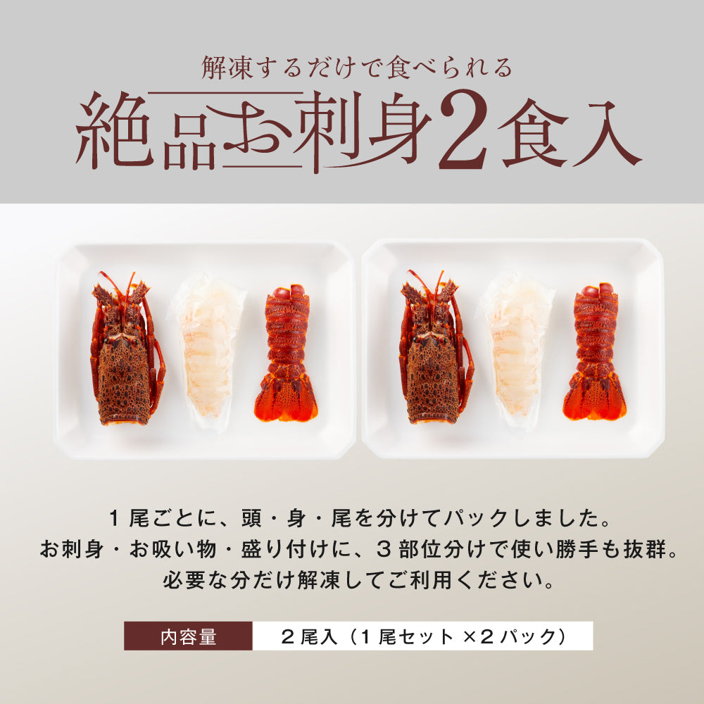 【刺身用に船上で瞬間冷凍】<br>お刺身用伊勢海老(イセエビ)<br>2尾分