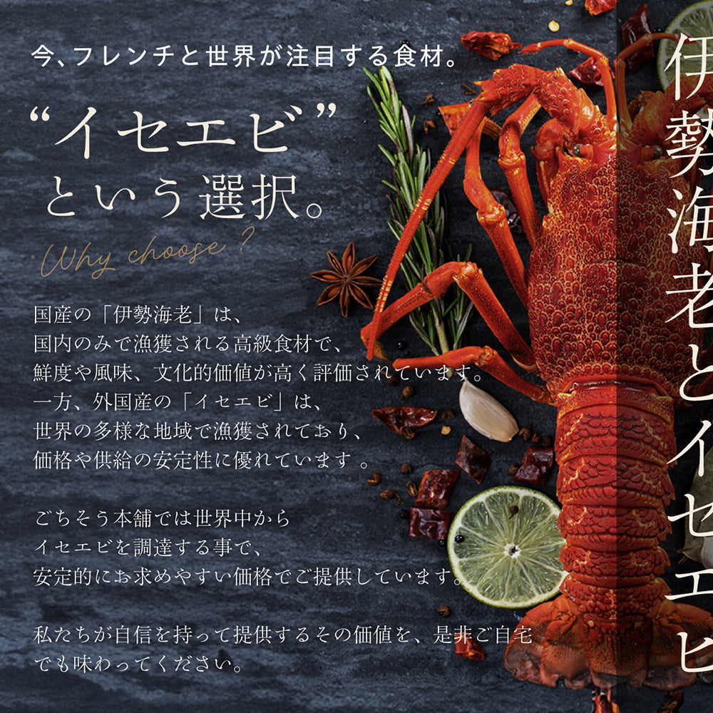 【大満足のサイズ感】<br>大きい伊勢海老(イセエビ)テルミドール<br>2食セット