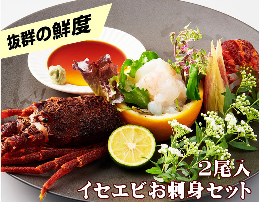 【刺身用に船上で瞬間冷凍】<br>お刺身用伊勢海老(イセエビ)<br>2尾分