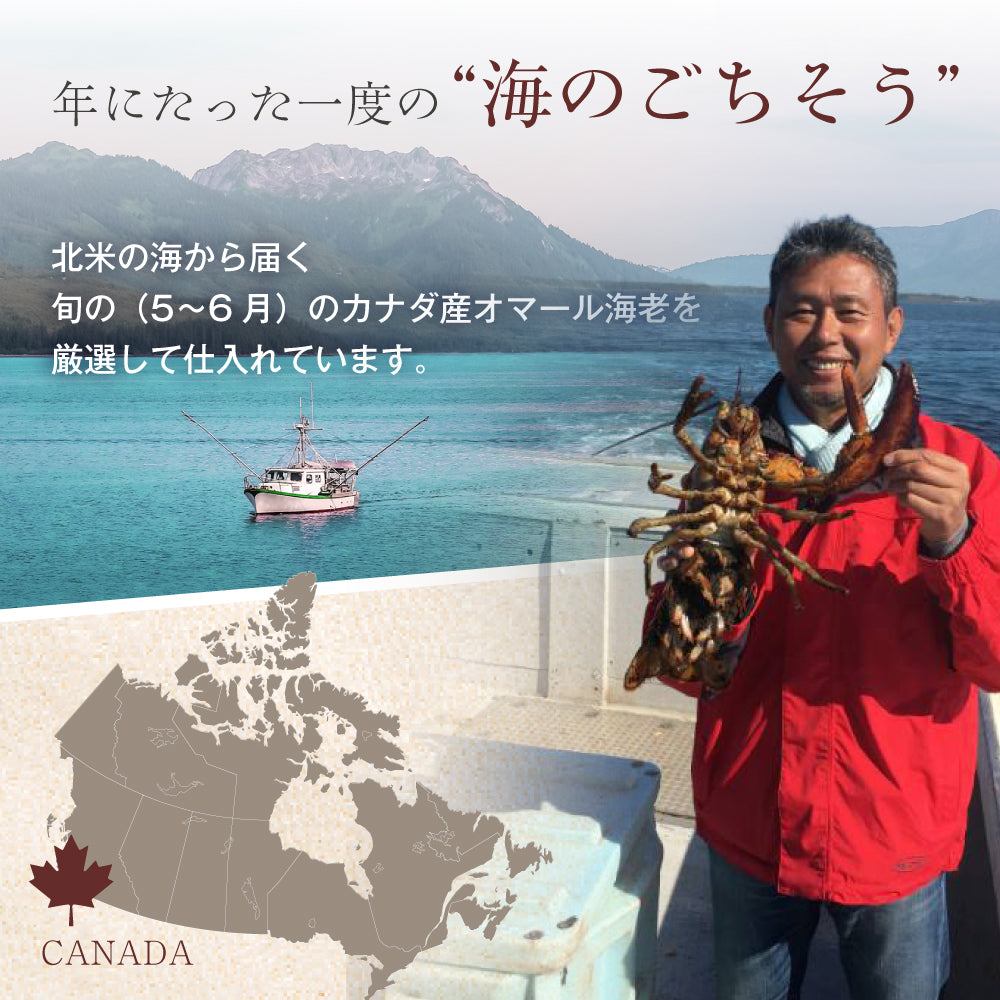 【ホームパーティーなどに】<br>オマール海老(ロブスター)のテルミドール<br>10食セット