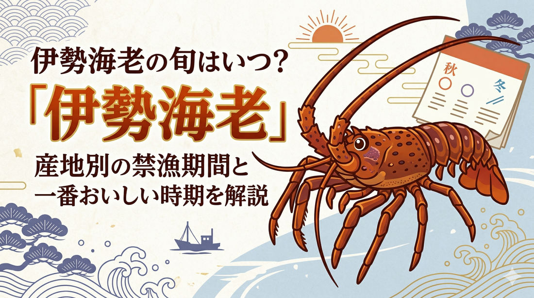 伊勢海老の旬はいつ？産地別の禁漁期間と一番おいしい時期を解説