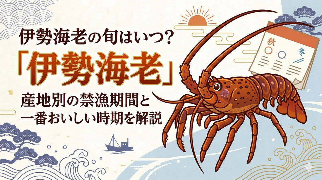 伊勢海老（イセエビ）の旬はいつ？一番おいしい時期と産地別の食べ頃を解説