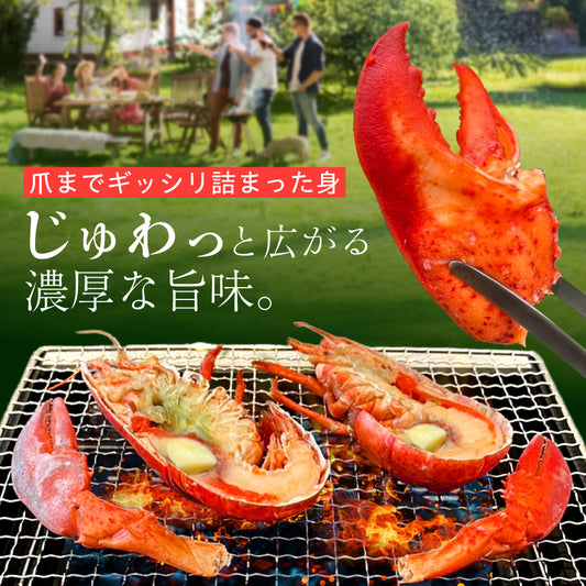 【そのまま焼くだけ！】<br>オマール海老(ロブスター)バーベキューセット