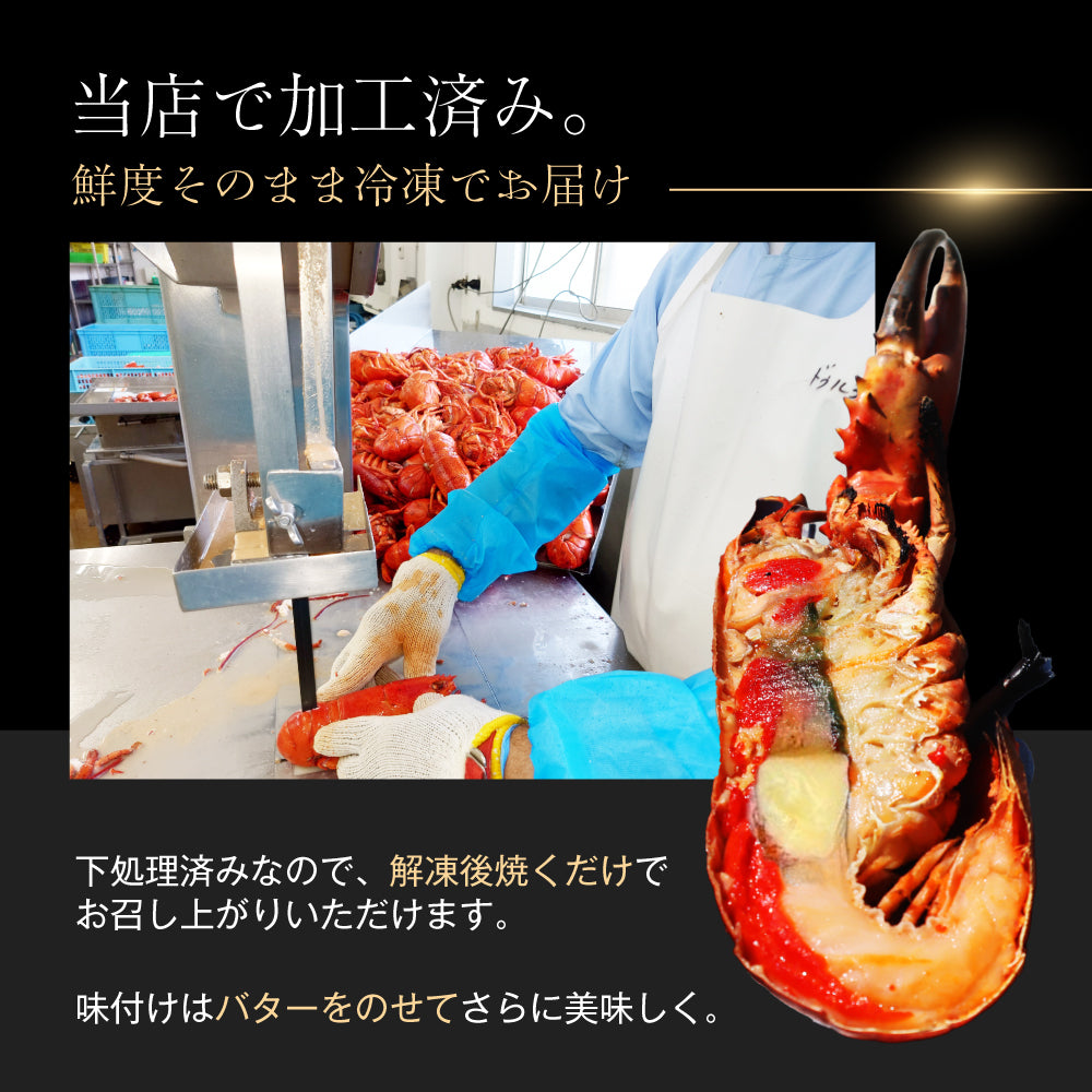 【そのまま焼くだけ！】<br>オマール海老(ロブスター)バーベキューセット